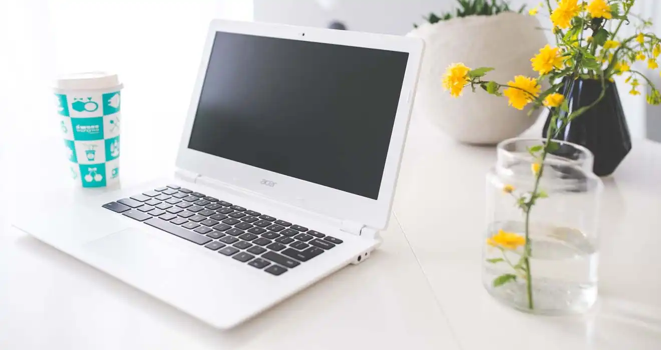 Ремонт ноутбуков Acer в Ивантеевке
